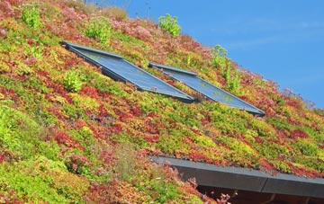 Southorpe living roof systems